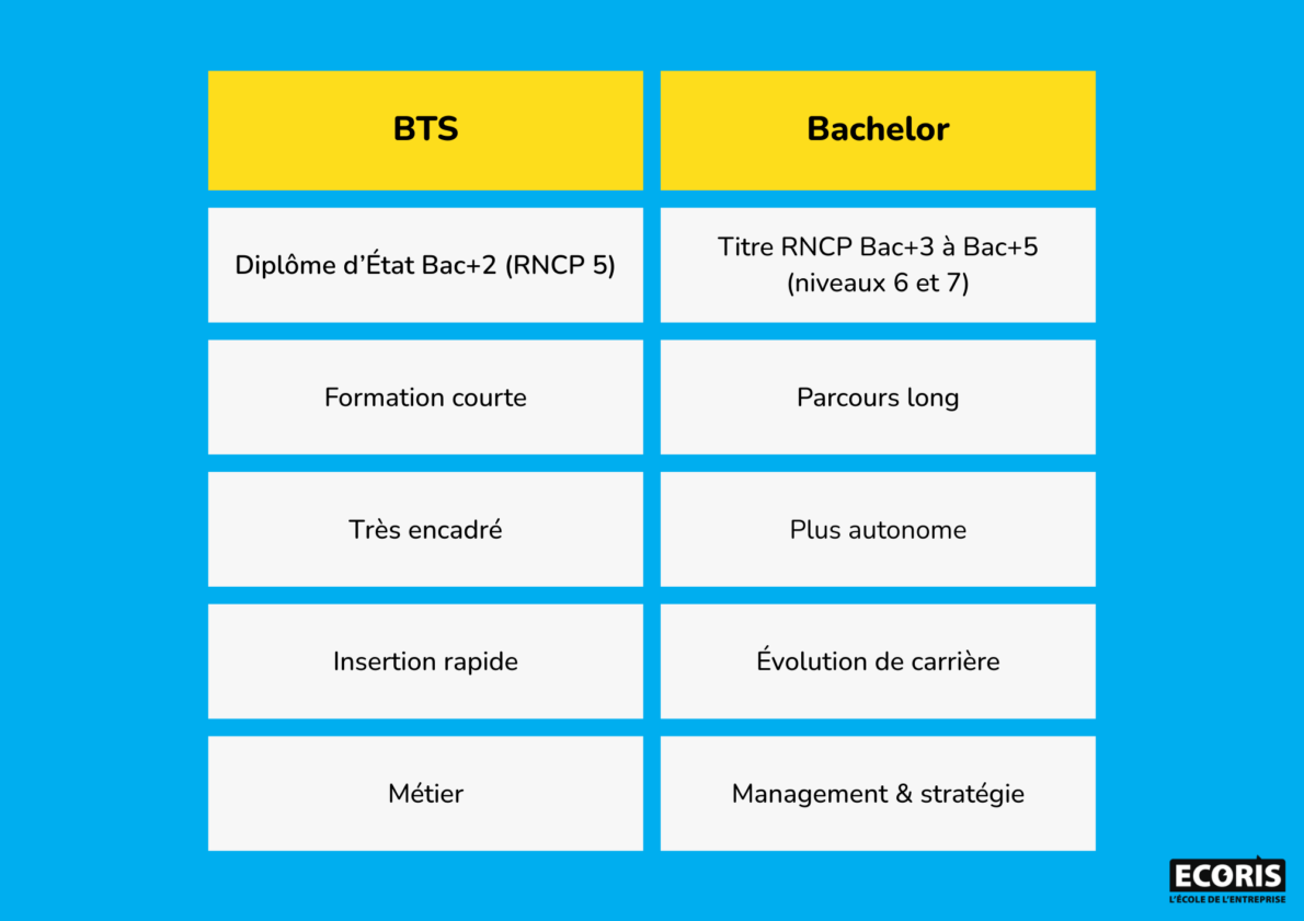 BTS ou Bachelor quelle formation choisir après le Bac ? ecoris — free download